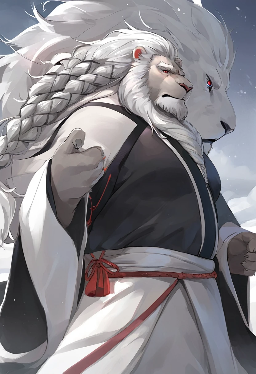 White lion，personification，Mature male，Strong Man，White hair，Cold expression，Red pupil，Gray eyebrows，Braids，Black Hanfu，Stand in the distance。