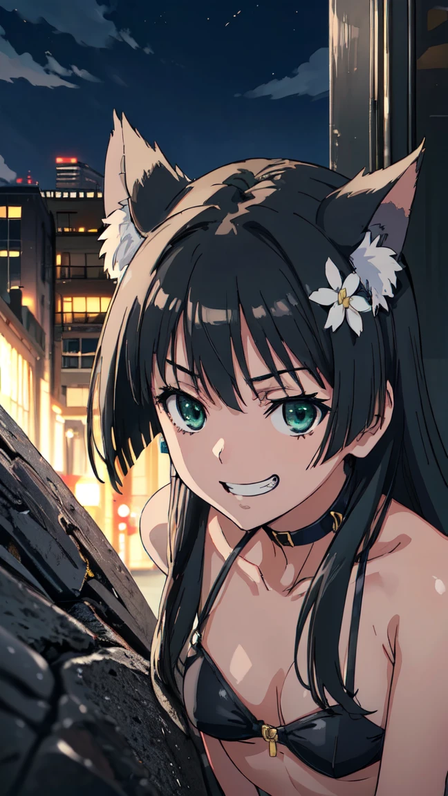  (High resolution:1.4), (masutepiece:1.2), (High quality:1.3) 1girl, saten ruiko, green eyes, long hair, black hair, small breast, dangerousbeast, wolf tail,  cinematic lighting,  pov, grin