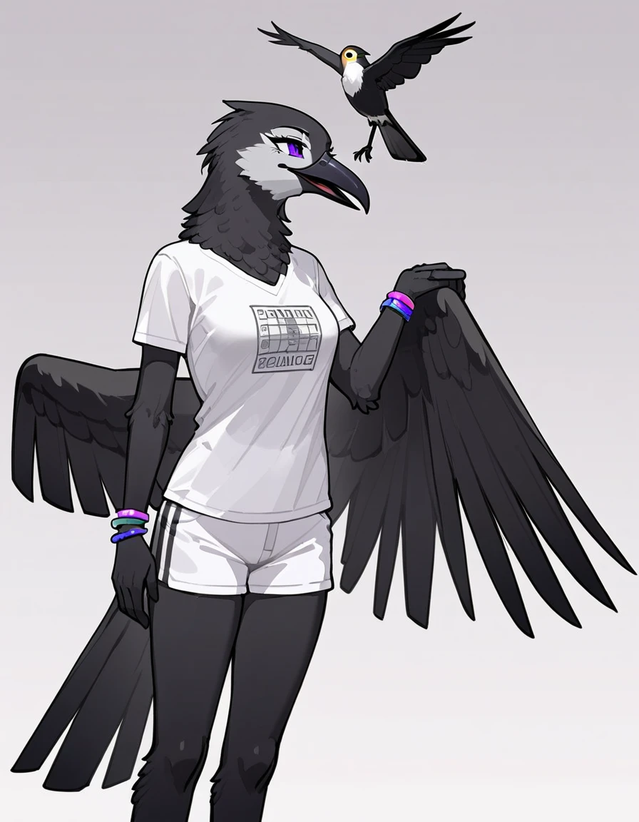 2d art, furry art, an Anthropomorphic avian crow girl, female, black birds crest on head, small grey beak, tall,  black arms and legs, black body, wingless, no wings, standing, white background, purple eyes, humanoid body, humanoid arms, hands with five fingers, wearing white shirt, white shorts, silver bracelets, 