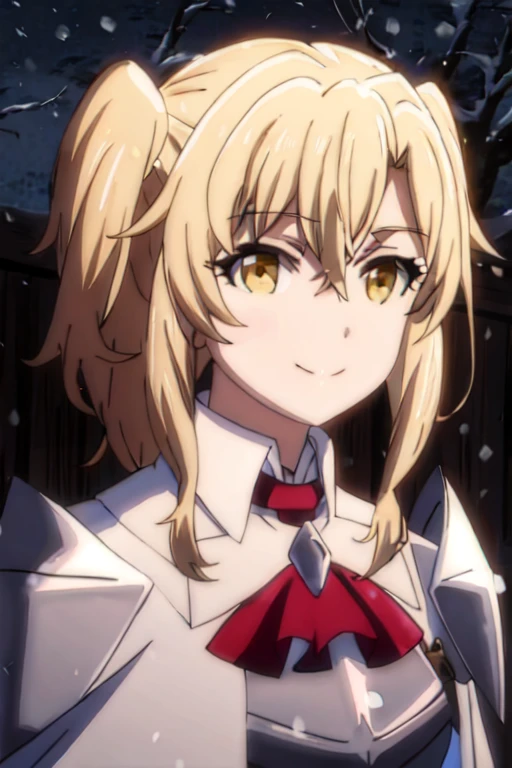 GoblinSlayer, NobleFencer, solo, girl1, looking at viewer, smile, long sleeves, brown eyes, long white cape, armor, shoulder armor, portrait, red ascot, snow, outdoor