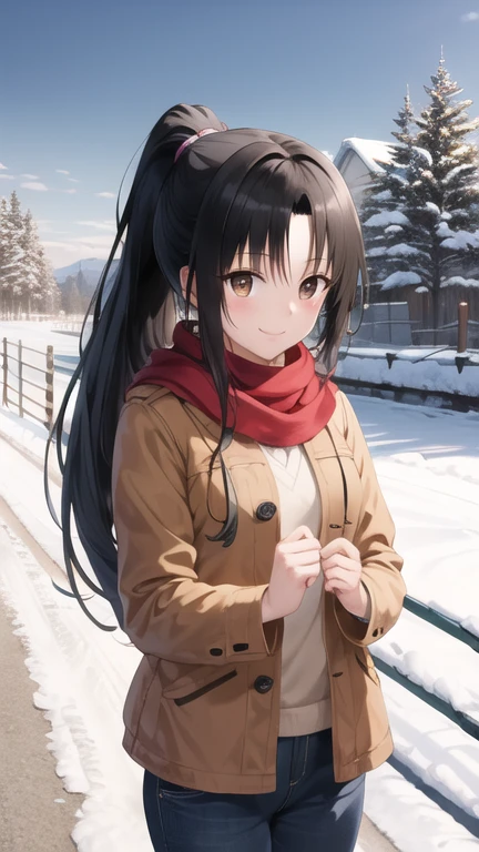masterpiece, best quality, highres, 1girl, solo, long hair, black hair, ponytail, parted bangs, brown eyes, winter clothes, scarf, snow, road, standing, cowboy shot, smile
