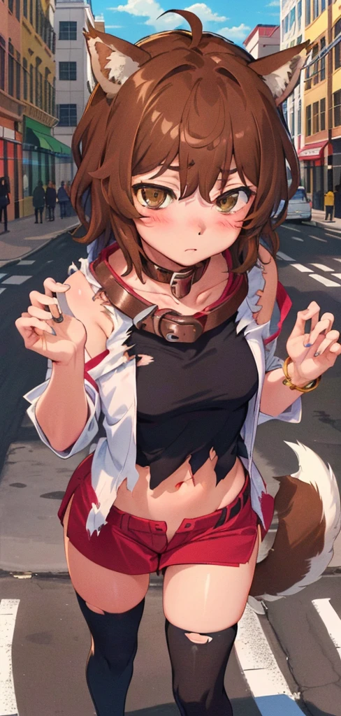 anime coloring,anime screencap,
1girl, solo, thighhighs, tail, animal ears, torn clothes, navel, brown hair, black thighhighs, blush, sleeveless, dog ears, short hair, standing straight, (((ultra-detailed eyes, 20 years old, street, brown eyes, submissive and obedient, collar))).