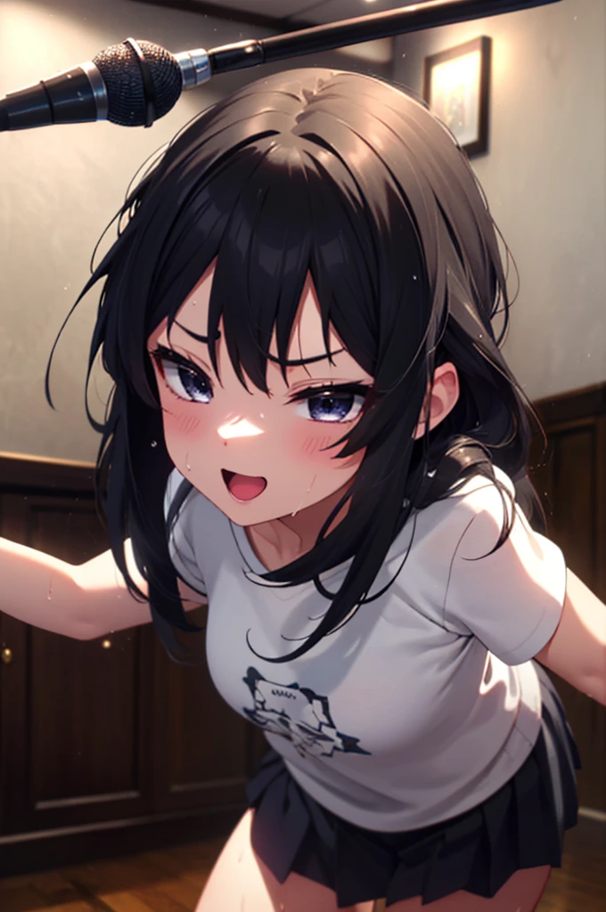 mioakiyama, My Akiyama, Long Hair, bangs, Black Hair, (Iris:1.3), Hime cut,smile,Open your mouth,Wet clothes,Sweat,飛び散ったSweat,Happy atmosphere,Black T-shirt,Short sleeve,Black pleated skirt,Black high socks,Brown loafers,Playing left-handed bass,Stand microphone,Stand microphoneの前で左手用ベースを弾きながら歌っている,whole bodyがイラストに入るように,
break indoors, live house,
break looking at viewer, whole body,
break (masterpiece:1.2), Highest quality, High resolution, unity 8k wallpaper, (figure:0.8), (Beautiful attention to detail:1.6), Highly detailed face, Perfect lighting, Highly detailed CG, (Perfect hands, Perfect Anatomy),