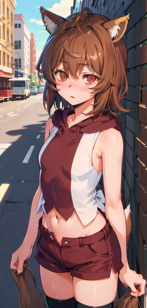 anime coloring,anime screencap,
1girl, solo, thighhighs, tail, animal ears, healthy skin, navel, brown hair, blush, sleeveless, dog ears, short hair, standing straight, (((ultra-detailed eyes, 20 years old, street, brown_eyes))).( Cowboy_shot).