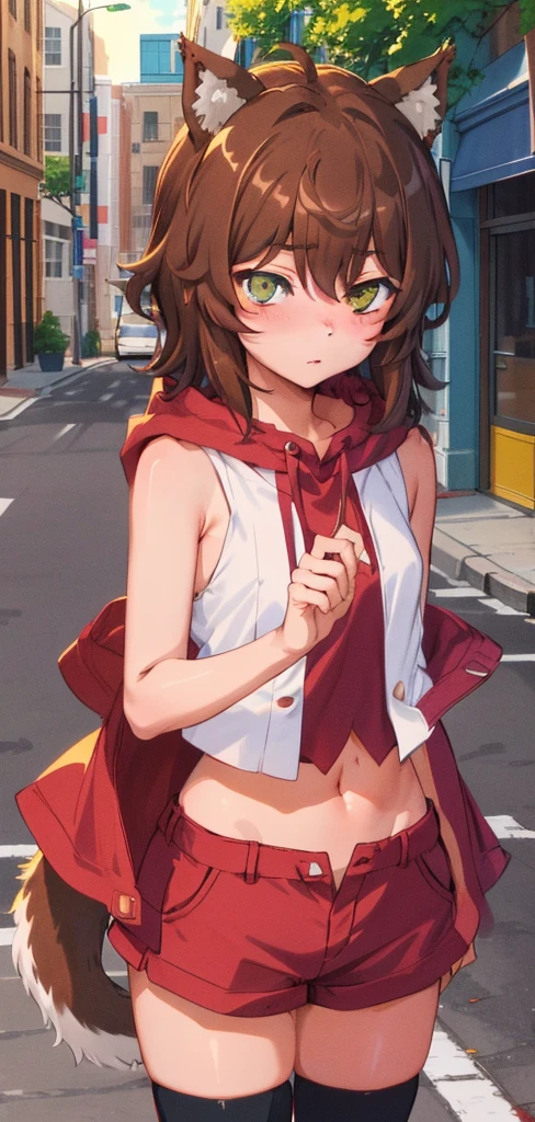 anime coloring,anime screencap,
1girl, solo, thighhighs, tail, animal ears, healthy skin, navel, brown hair, blush, sleeveless, dog ears, short hair, standing straight, (((ultra-detailed eyes, 20 years old, street, brown_eyes))).( Cowboy_shot).