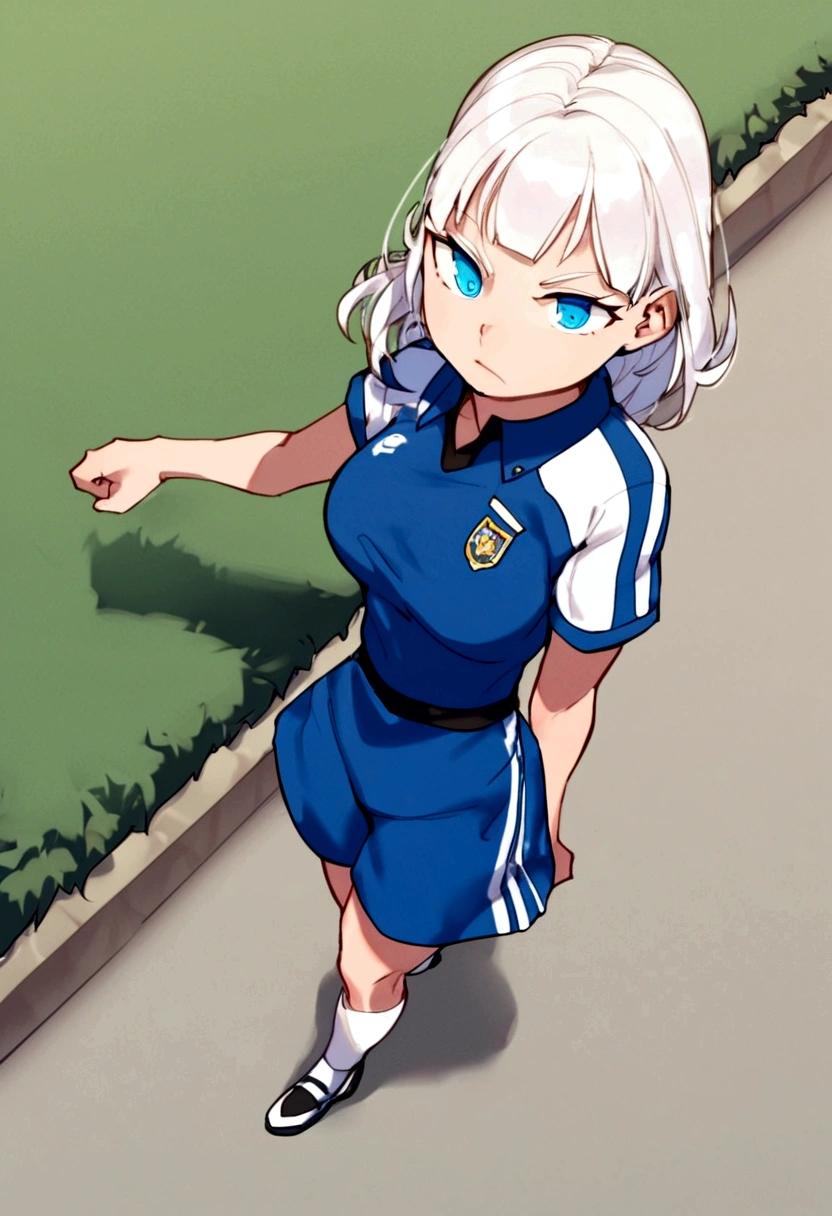 score_9, score_8_above, score_7_above, score_6_above, score_5_above, score_4_above, fountain_anime 1 girl,soccer player,clear skin,thin face ,blue eyes,black fur,wide,fringe,white hair strands,standard height,collected in a queue,medium breasts,small waist,France national team uniform,In a soccer field,kicking the ball.