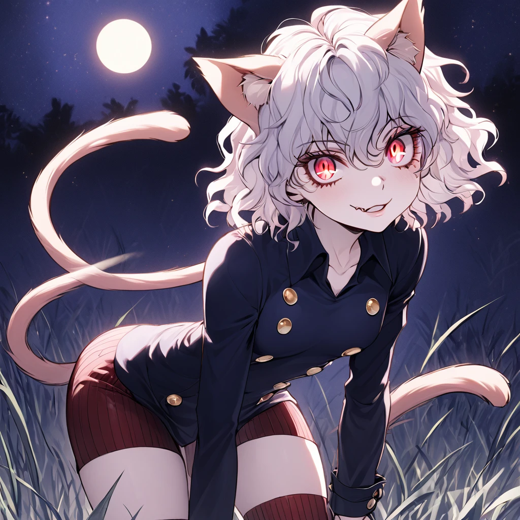 1girl, neferpitou, short hair, red eyes, animal ears, tail, white hair, cat ears, cat tail, curly hair, long sleeves, shorts, model's expressiion, silver hair, short and curly hair, cat ears, red eyes, large pupils, double eyelids, slender eyebrows, long eyelashes, small nose, small mouth, sharp jawline, blue military-style coat, six gold buttons, short red striped skirt, high collar, long sleeves, slender wrists, flexible fingers, white skin, cat-like claws, red striped knee-high socks, blue shoes, sturdy soles, slender ankles, small feet, long legs, muscular thighs, thin waist, wide shoulders, cat-like gaze, long neck, straight shoulder line, straight back, muscular arms, long fingers, firm upper arms, soft hands, small palms, cat-like smile, serious furrowed brows, pointed ears, pink inside of ears, thin eyelids, upward curled eyelashes, vertical slit pupils, cat whisker-like cheek markings, many lower eyelashes, small nostrils, thin lips, pointed chin, protruding collarbones, straight posture, high hips, muscular thighs, pointed knees, well-fitted socks, neatly tied shoelaces, soft cat ears, rounded ear tips, soft fluffy hair, thin eyebrows, light pink lips, white teeth, well-shaped lips, smooth skin, sensitive ears, reflective pupils, heavy eyelids, slightly curved cat ears, well-fitted coat, wide skirt hem, shining buttons, slightly old shoes, hair waving in wind, sparkling pupils, moving cat ears, nighttime forest background, moonlight, starry night sky, G-cup chest, cocky cat-like expression, thick glossy thighs and hips, detailed texture of hair and clothing, light and shadow contrast, background details including swaying grass and old building, specific lighting conditions with moonlight casting shadows, detailed coloration of outfit with deep blue and red stripes, intricate design of buttons, and emotional depth in expressions showing defiance, joy, and determination.