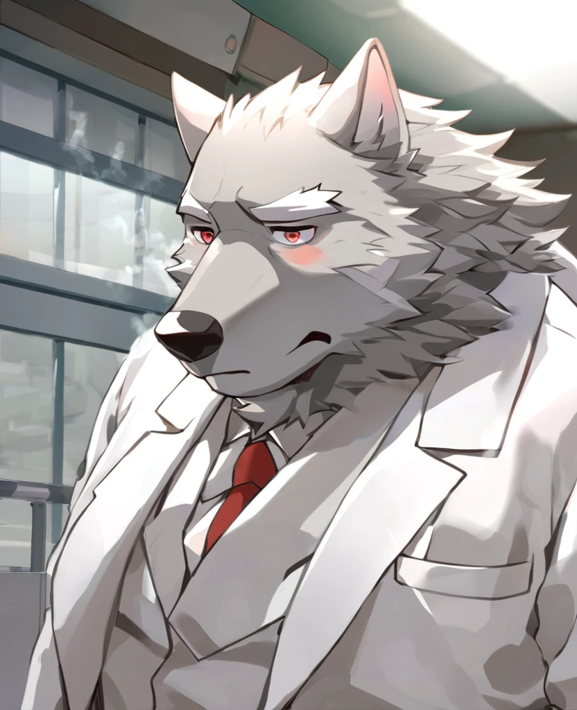 Wolf,personification,Mature male,Strong Man,Gray hair,naked,Sleepy expression,Red pupil,White eyebrows,White suit suit,Hands in pockets,The Age of Steam,Hospital Office。