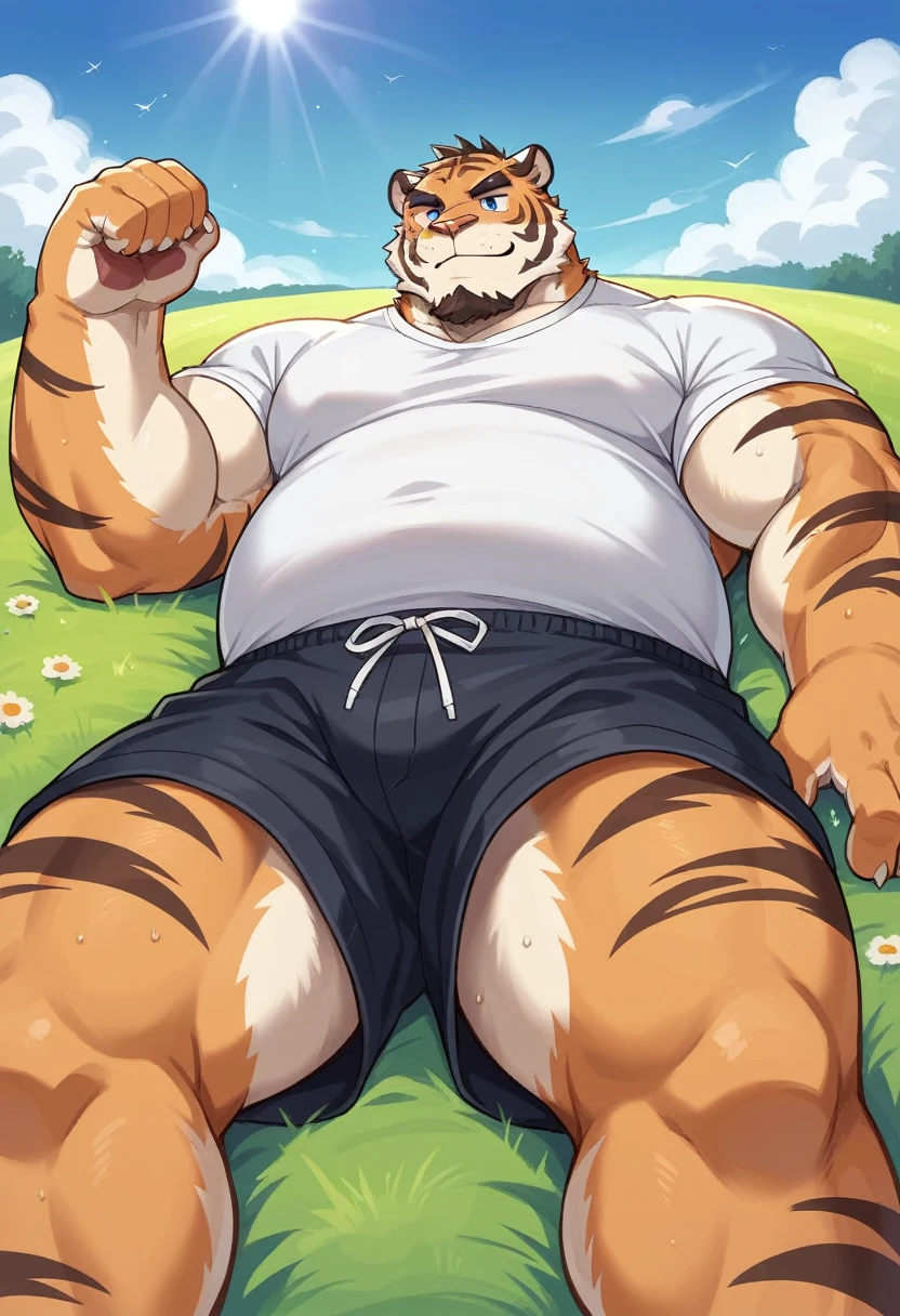 NJ5furry,tiger,solitary,Beast field,chubby, Thick arms,Strong muscles,shorts,Plush,Chubby face,Black eyebrows,Sky blue eyes,beard,smirk:1.1,lying on the grass,on back, (from below:1.1),Lie down,Lay flat,(White shirt,shorts),Sunlight,(sweat),by zixiong, Takemoto Arashi