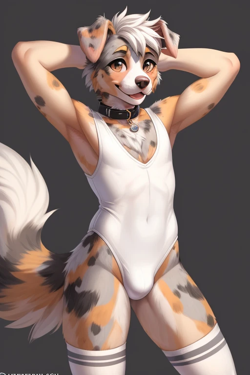 ((SFW)) ((18 year old, short, cute, furry, Australian Shepherd dog boy femboy wearing a white sleeveless leotard with a bulge, a collar, and light gray thigh-high socks, best quality)) ((hands behind head))