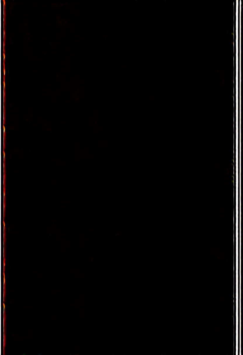 score_9, score_8_up, score_7_up, 8k, very detailed, high detailed texture, depth of field, Very detailed, Latest, Vibrant, Ultra-high resolution, High Contrast, masterpiece:1.2, highest quality, Best aesthetics), Beautiful female orochimaru, looking at viewer, oroch1maru, 1girl, source_pony, yellow eyes, slit pupils, black hair, long hair, purple eyeliner, hair over one eye, (pale skin:1.3), tan tunic, purple rope belt, sandals, earrings, solo, volumetric lightning, outdoors, bamboo forest, dark forest, night, moon, evil smug, 1girl, shiny skin, oiled skin, big breasts, cleavage, beautiful face, cleavage, wide hips, thic thighs, juicy ass, datailed legs, side cutoff, straps, net stockings, purple stockings, strong wind, garter,