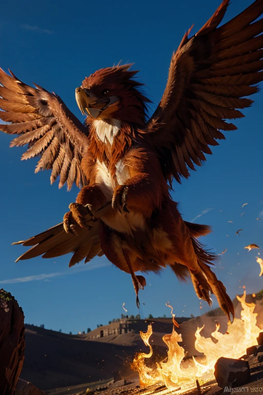 Wild Phoenix