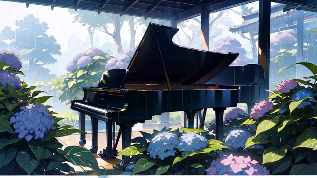 In the deep rainy forest。A large grand piano under the roof、Hydrangea is blooming