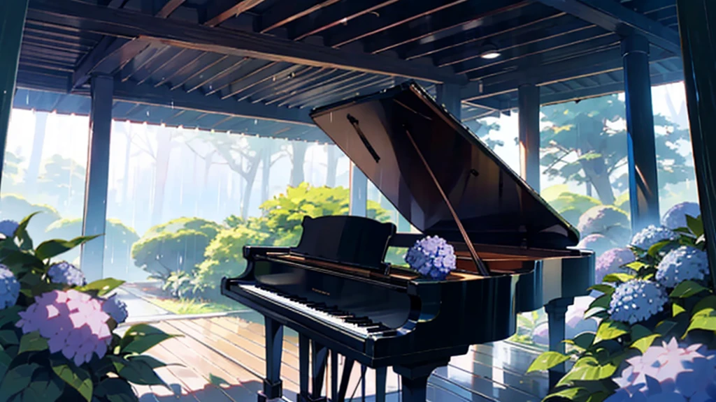 In the deep rainy forest。A large grand piano under the roof、Hydrangea is blooming