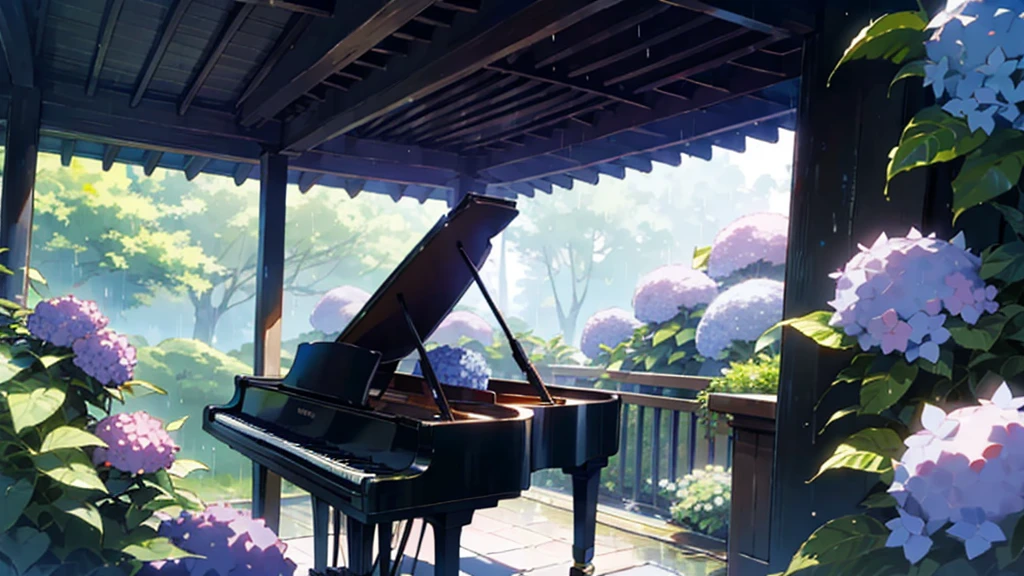 In the deep rainy forest。A large grand piano under the roof、Hydrangea is blooming