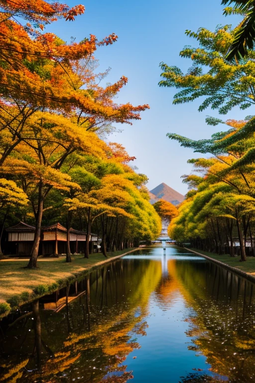 Orange asia