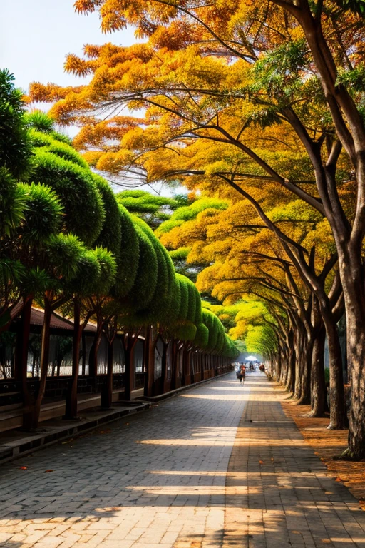 Orange asia