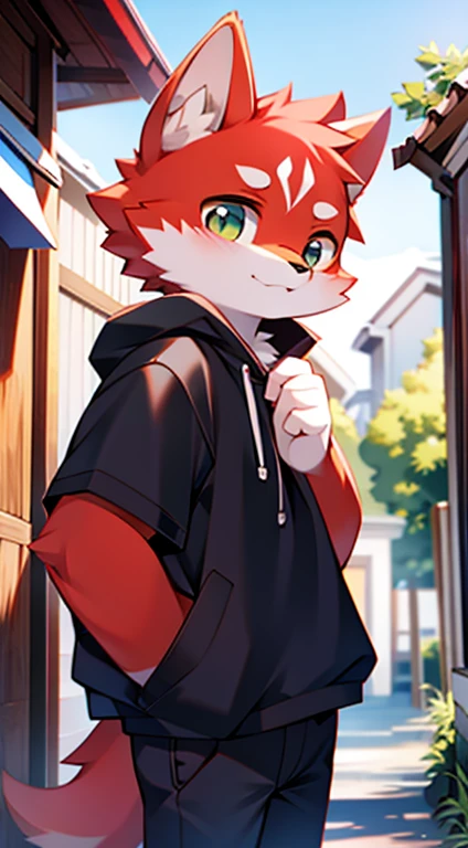 Wandering Samo、Red fur、I love photography、Adorable、