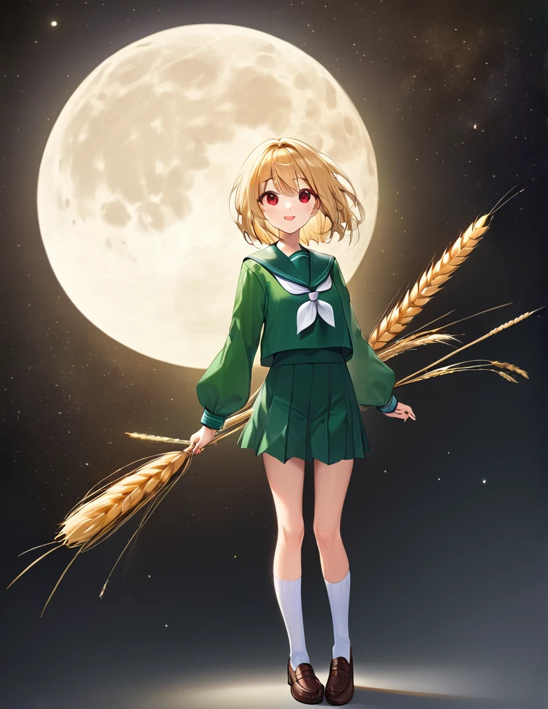 Highest quality, masterpiece, Ultra-high resolution, One girl,
blondes、Smooth Hair、Two-tone hair、Bobcut、Red Eyes、Sparkling Eyes、Detailed eyes、Slanted Eyes、Tanned, wheat-colored skin、Brown Skin、Traditional deep green sailor suit、White socks、loafers、whole body、Low - Angle、Fanning angles、Fantastic scene、Standing with your legs apart、Arms crossed、Confident expression、A fantastic atmosphere、full moon、White Moon