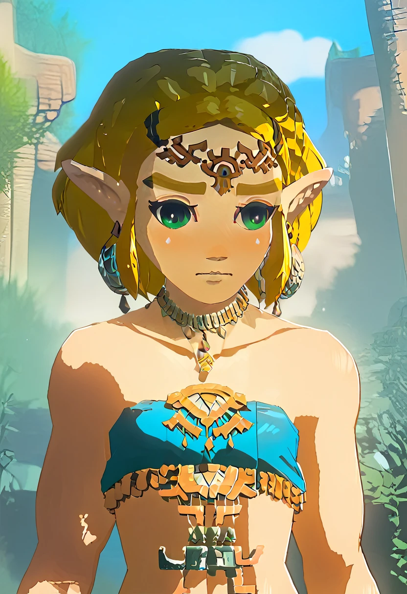 princesa zelda breath of the wild Naked, without clothes, naked