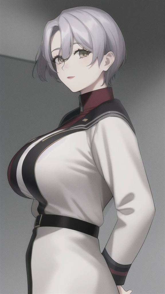 sallysaintford, huge_breasts, standing, solo, Naval_uniform_White_jacket_White_pencil_skirt_miniskirt_Belt_long_sleeves_turtleneck, masterpiece, best_quality, detailed_face, detailed_eyes, highres, beautiful, detailed,