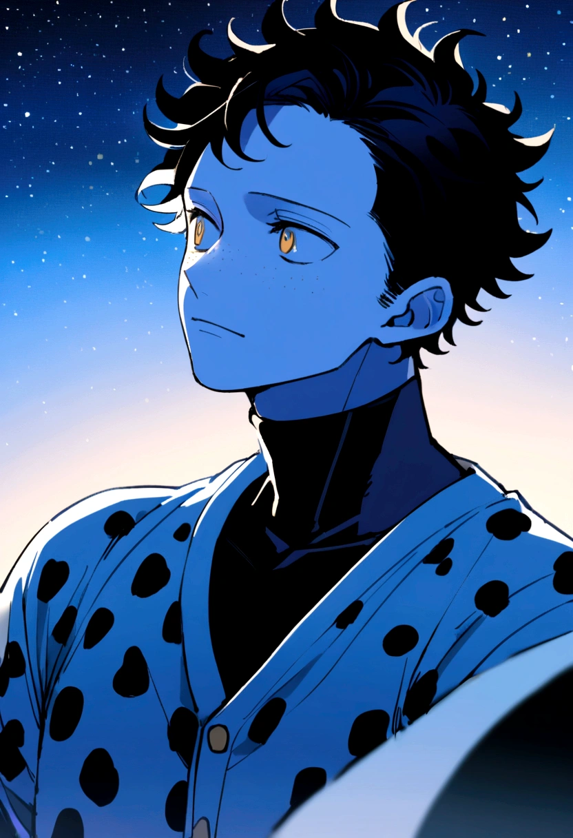 1 chico , cheered up , from onepiece , looking at the sky in amazement ,half body , looking at the stars , short wavy black hair , white skin with slight freckles , neutral eyes without shine royal blue color , black shirt , gray open sweater , wearing the white cap like Trafalgar law but completely white