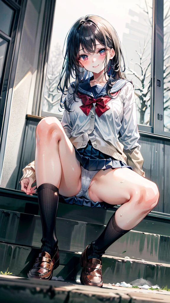 (Best quality, 8k, 32k, Masterpiece, UHD,:1.2),RAW, 1girl,ultra cute , natural lighting,transparent shining eyes, 20yo ,fair complexion, medium breast, ((school uniform)), sitting on stairs, Closeup shot, wedgie, bending knees, show off panties, From Below, shy smiling, long straight hair, in winter, falling snow, Closing legs, long sleeve cardigan