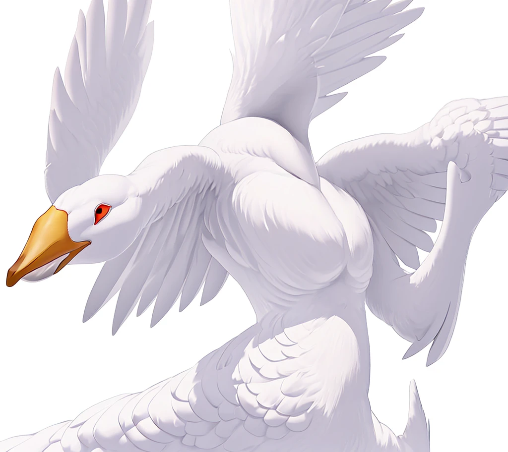 White goose，strong，muscle，Upper Body