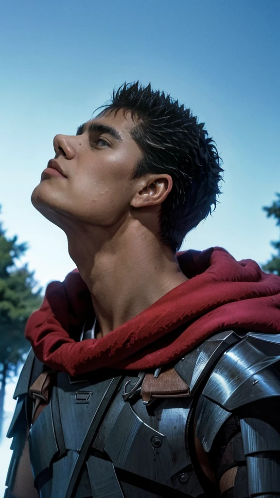 guts、profile、Upper Body、forest、Masterpiece、Highest quality、male、Red Cape、Black armor、Looking up at the sky