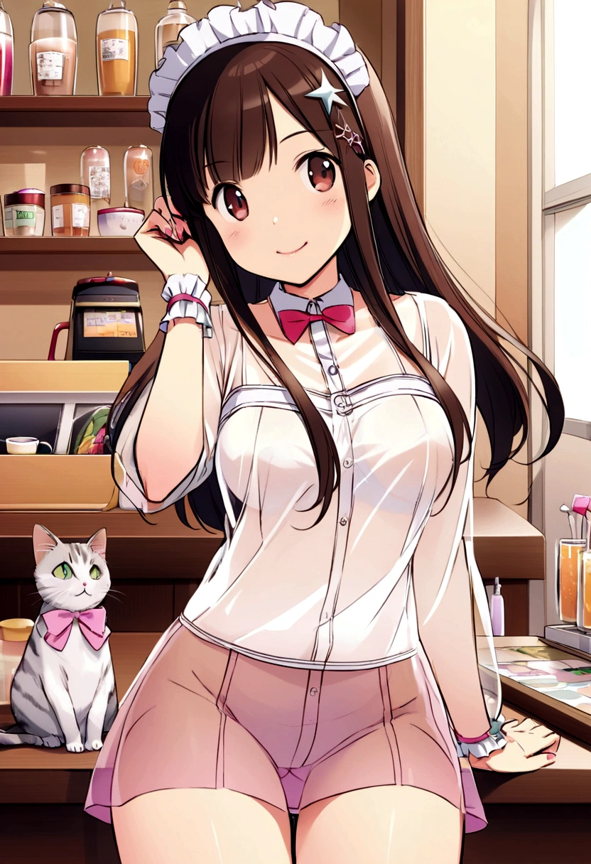 Cat、An illustration、Catカフェ、Cute clerk、See-through clothing