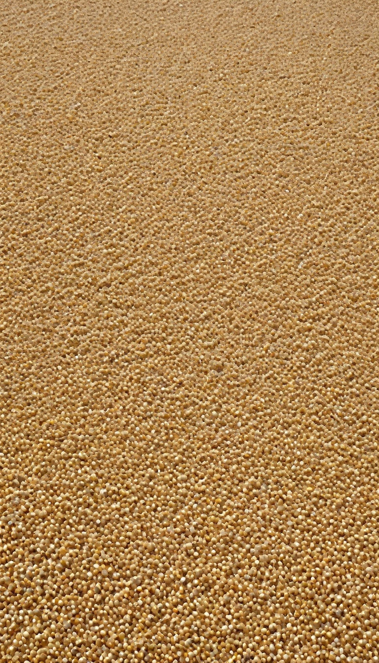 beach sand