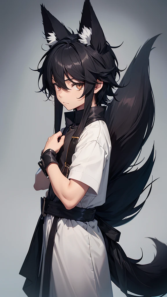 A boy with fox ears and tail, blackquality hair