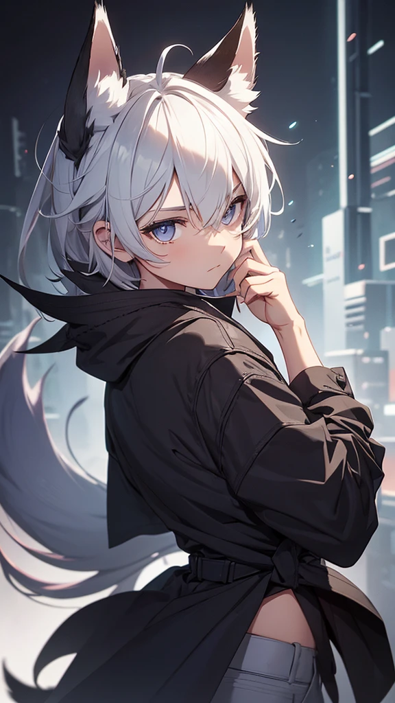 A boy with fox ears and tail, blackquality hair