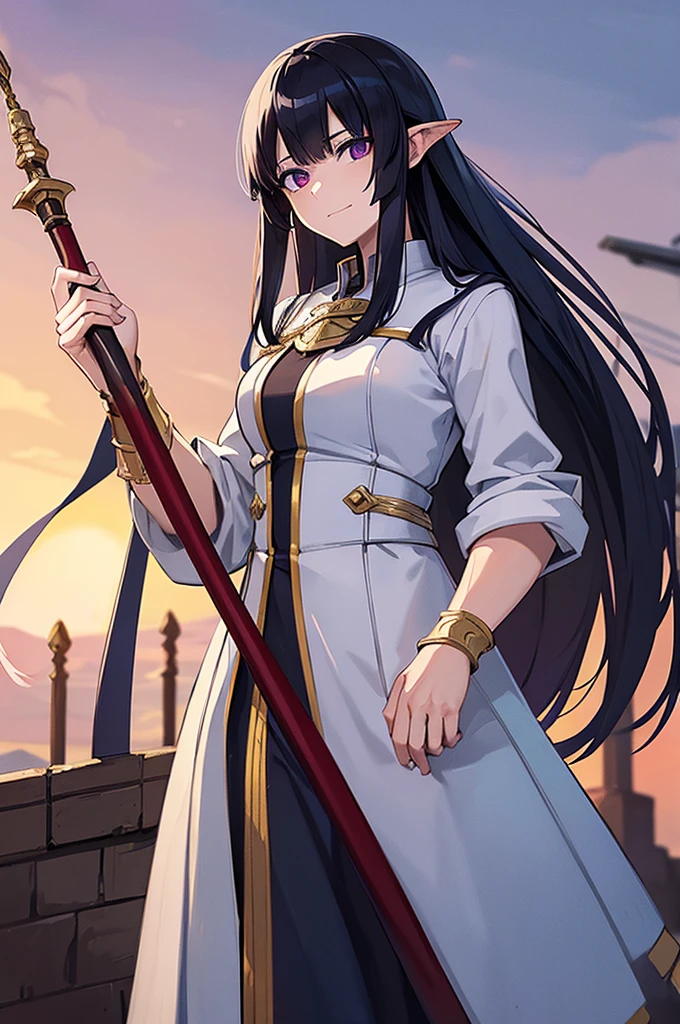 Highest quality, masterpiece, High resolution, alone, (Fire emblem),(FE Heroes_Ayla),Evening sky_background,Young Girl,(smug face),(black_Hair Color), (Straight Long_Hairstyle),4K, masterpiece,, alone, 1,whole body,looking at the camera, White Domaru,(Long sword),human_ear,(purple_coat)Sharp Eyes,(Full Finger), (Cane_Swing up), (The finer details), (Anatomically correct), (映画のbackground), Hyper Detail, (Subtle details), (Intricate details)