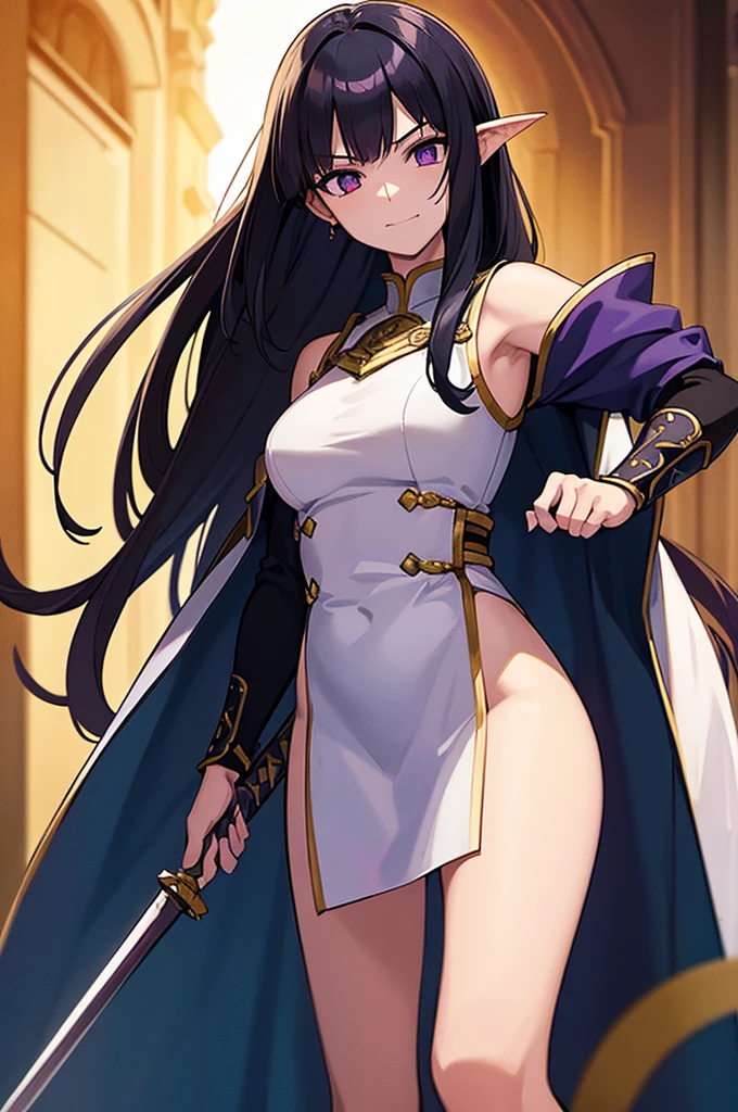 Highest quality, masterpiece, High resolution, alone, (Fire emblem),(FE Heroes_Ayla),Evening sky_background,Young Girl,(smug face),(black_Hair Color), (Straight Long_Hairstyle),4K, masterpiece,, alone, 1,whole body,looking at the camera, White Domaru,(Long sword),(human_ear),(purple_coat)Sharp Eyes,(Full Finger), (Cane_Swing up), (The finer details), (Anatomically correct), (映画のbackground), Hyper Detail, (Subtle details), (Intricate details)