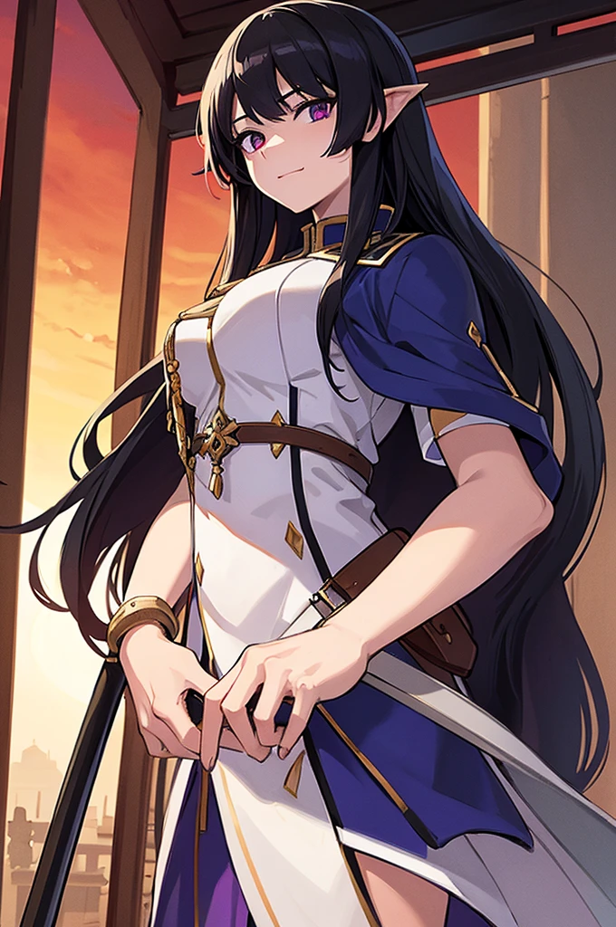 Highest quality, masterpiece, High resolution, alone, （Fire emblem），（FE Heroes_Ayla），Evening sky_background，Young Girl，（smug face），（black_Hair Color）, （Straight Long_Hairstyle），4K, masterpiece,， alone, 1,whole body，looking at the camera, White Domaru，（Long sword），（human_ear），（purple_coat）Sharp Eyes，（Full Finger）, （Cane_Swing up）, （The finer details）, （Anatomically correct）, (映画のbackground), Hyper Detail, (Subtle details), (Intricate details)