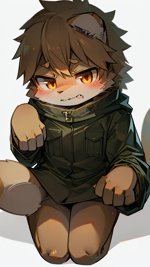 One light yellow cat, furry, kemono, military clothing, drunk, using brown ushanka, brown eyes, angry, fullbody, sitting, ears hiding by ushanka, white background, pale colors, detailed lineart, flat colors, cute, concept