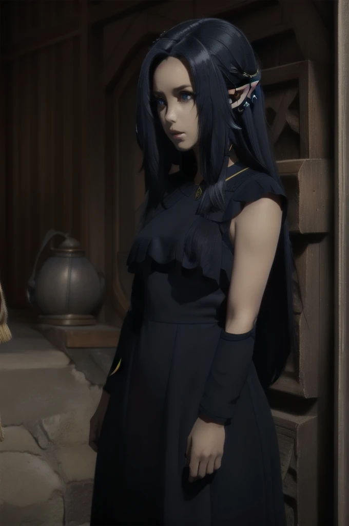 ,dark blue hair,,long hair,blue eyes,pointy ears,elf,(((dress)))
