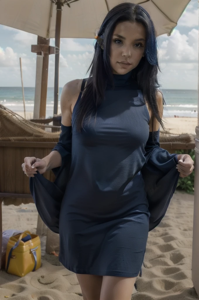 ,dark blue hair,,long hair,blue eyes,pointy ears,elf,(((dress))),on the beach