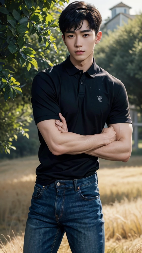 young korean man , 1 boy, white skin , Fine skin, 1 boy, ((realistic)), abdomen, good light quality, muscle veins, ((Pale skin)), football player, (Masterpiece, Special quality, high resolution, 8K, complicated:1.2), (detailed face:1.2), handsome, , Embossed, 1 boy,alone, look at viewer, Balancing the eyes, , (Make eye contact), , black polo shirt, With super tight navy blue jeans., big Embossed (In the countryside:1.5), (field:1.3)