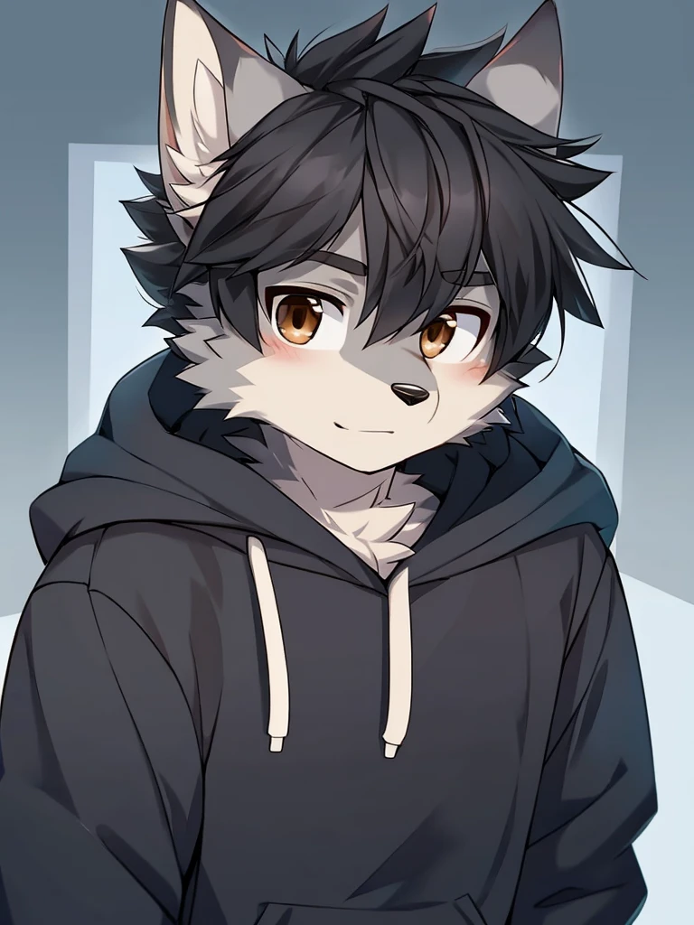 Wolf、Handsome、Messy Hair、Black Hair、Brown eyes、Grey fur、Wearing a hoodie