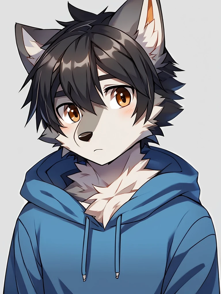 Wolf、Handsome、Messy Hair、Black Hair、Brown eyes、Grey fur、Wearing a hoodie