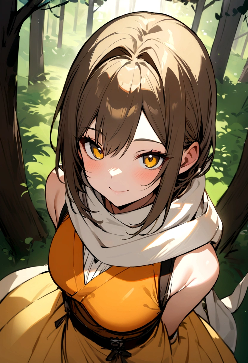 masterpiece, best quality, feMist, white scarf, orange vest, yellow dress, fingerless gloves, upper body, forest, looking at viewer, from above, smile, closed mouth 