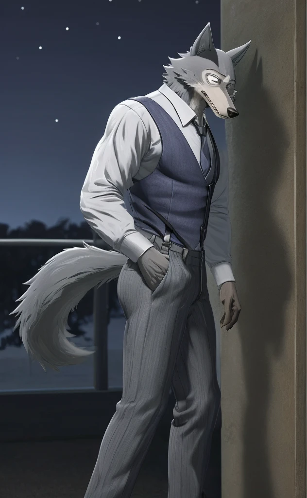 Legoshi is a tall, lean gray wolf, fur on his body is bluish gray, while his face, neck, and chest fur are a cream color, wearing a indigo vest, a dark gray tie, black suspenders, gray pants with dark gray vertical stripes, and brown loafers, anthro wolf, male, adult, muscles, grey fur, buffed body, tail, sexy, beefy body, furred body, furry chest hair, realistic, full body, photorealistic, ultra realistic, 8k, night, bare-chested, in back turned posing, sexy butt