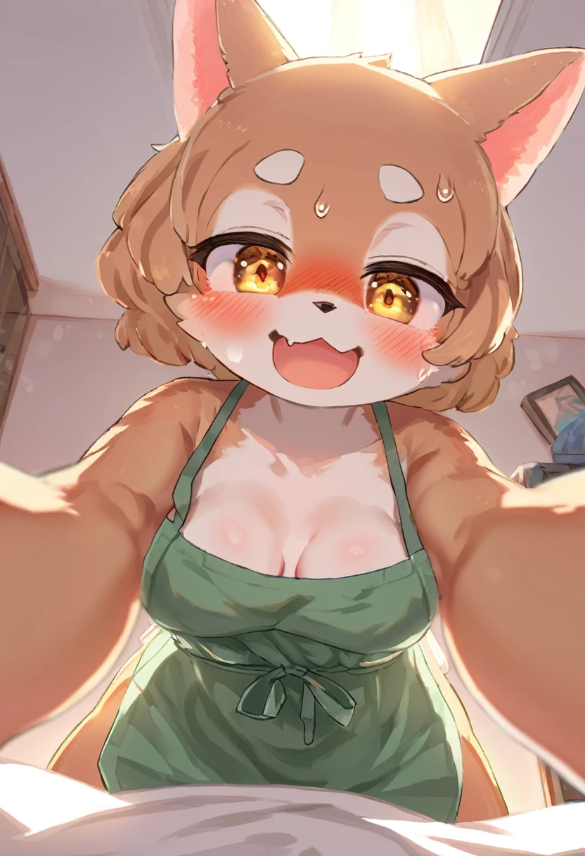 pov, top quality, best quality, High-quality illustrations, masterpiece, super high resolution, detailed background, detailed background, my room, on bed, ceiling, middle breasts, apron, all-fours, open mouth:0.1, girl reaching out, undress, embarrassed, sweat, smile:0.5, blush, absurdres(highly detailed beautiful face and eyes)perfect anatomy, expression, good lighting, cinematic shadow(kemono, furry anthro)selfie:0.05,