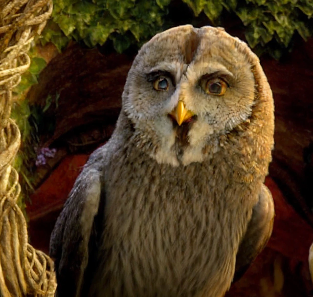 owl, female, best quality, masterpiece, great hgreay owl, twilight, balls. Cock, hung penis, nsfw, oil paint, e621