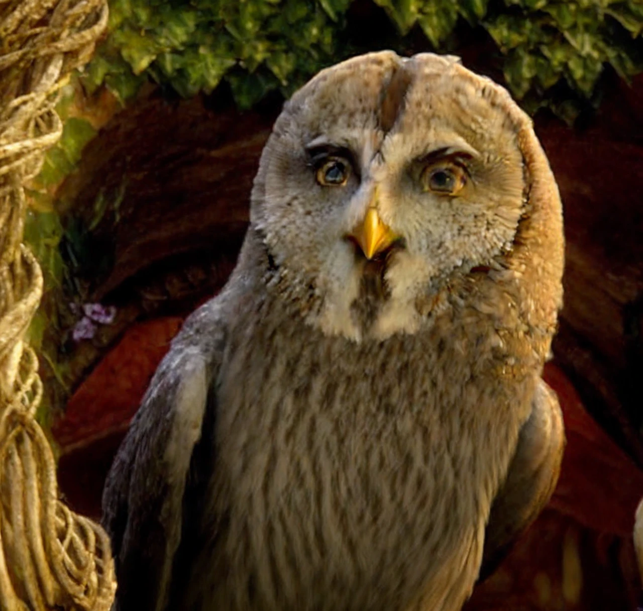 owl, female, best quality, masterpiece, great hgreay owl, twilight, balls. Cock, hung penis, nsfw, oil paint, e621