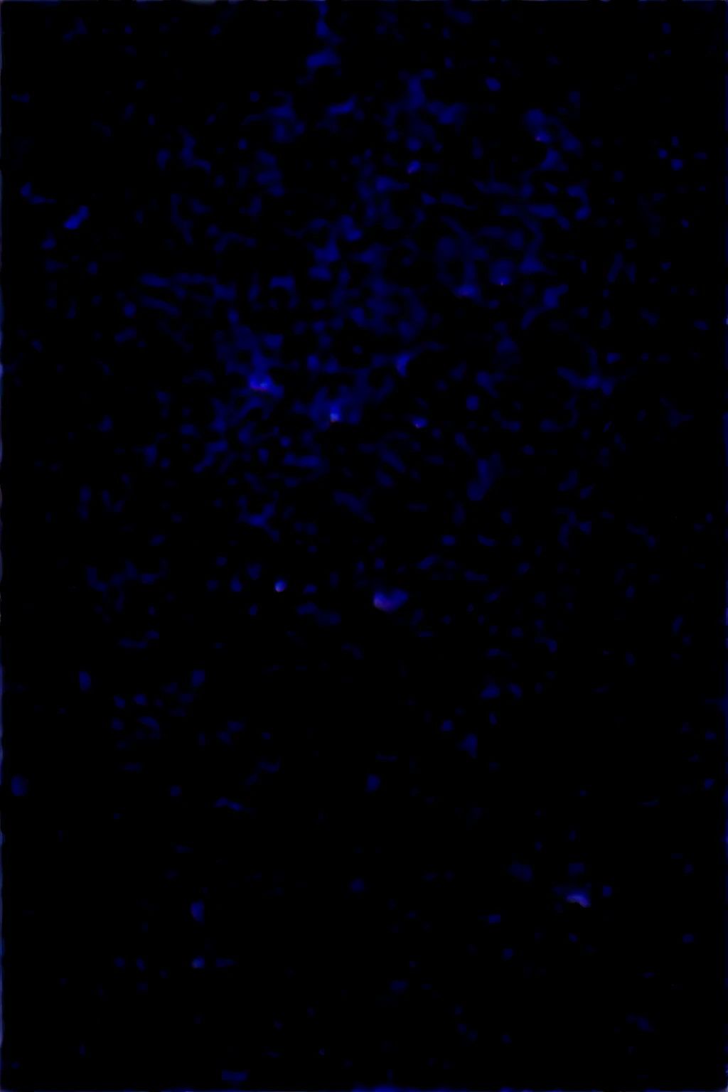 Dans le style des peintres impressionnistes et un ambiance sombre En arrière plan un croissant de lune sous une nuit noir et et verte sans étoile en second plan un manoir imposant sur une colline illuminer par la lune en premier plan une silhouette de dos regardant le manoir 