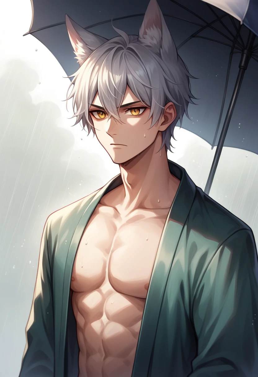 ((Highest quality)), ((masterpiece)), (detailed), ((Perfect Face))、Miyabi,male, length, Flowing silver hair and delicate strands.
sharp, sharp golden eyes. Has fox ears on top of his head.
Serious and a little mysterious.Pale and smooth.
She is wearing a robe with a slightly open chest., Revealing part of her toned upper body.
The characters exude elegance and strength., Has a calm and mysterious feel. The lighting accentuates his facial features and the texture of his hair., create software, An almost ethereal glow.、He came to pick me up in the rain with an umbrella.