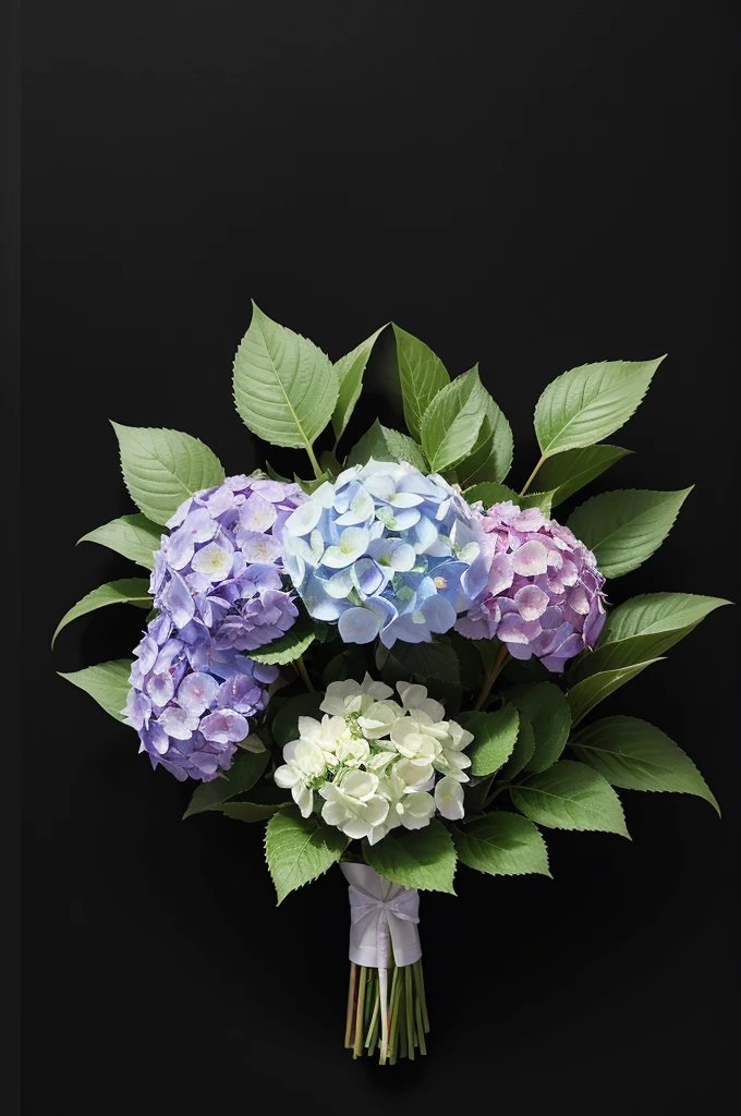 A bouquet of hydrangeas on a black background with sparkles around